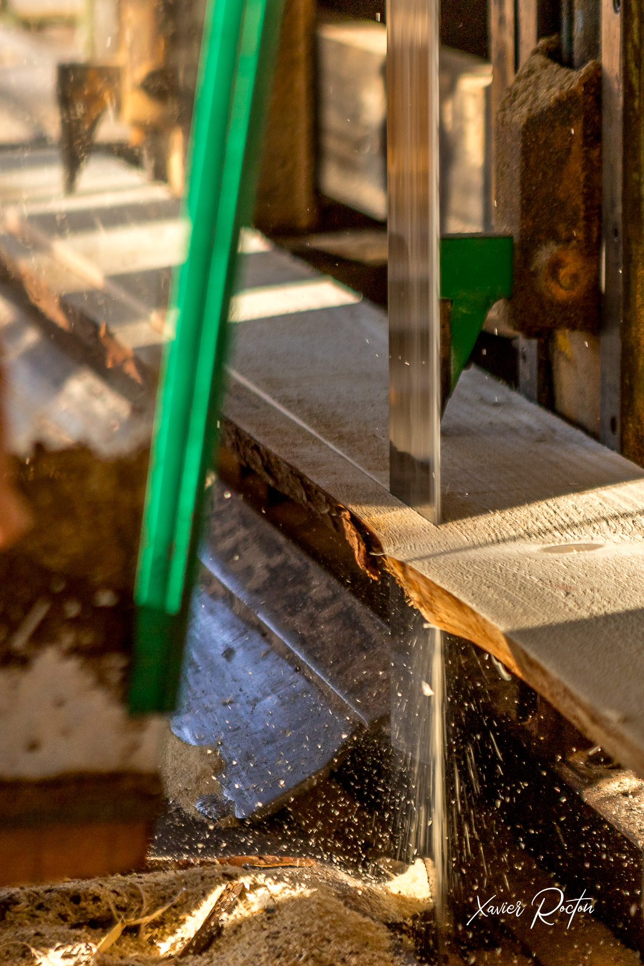 Photographie Passion Xavier Rocton-9049.JPG